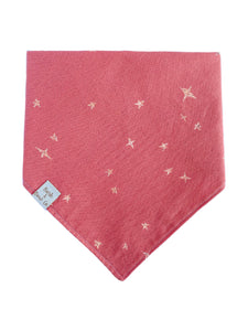 Stargazing | Bandana