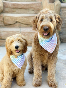 Starry Rainbow | Square Bandana